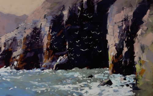 Fulmars off Guernsey