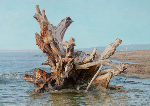 Beached Root IX