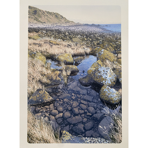 Rockpool Rushes