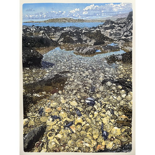 Seashell Shore